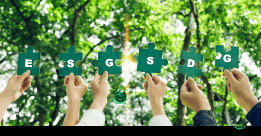 What Is ESG Climate Investment Rule