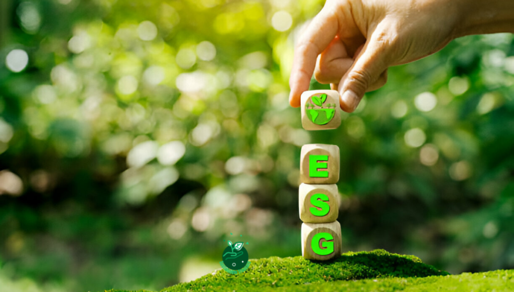How to Avoid Greenwashing in ESG Investments