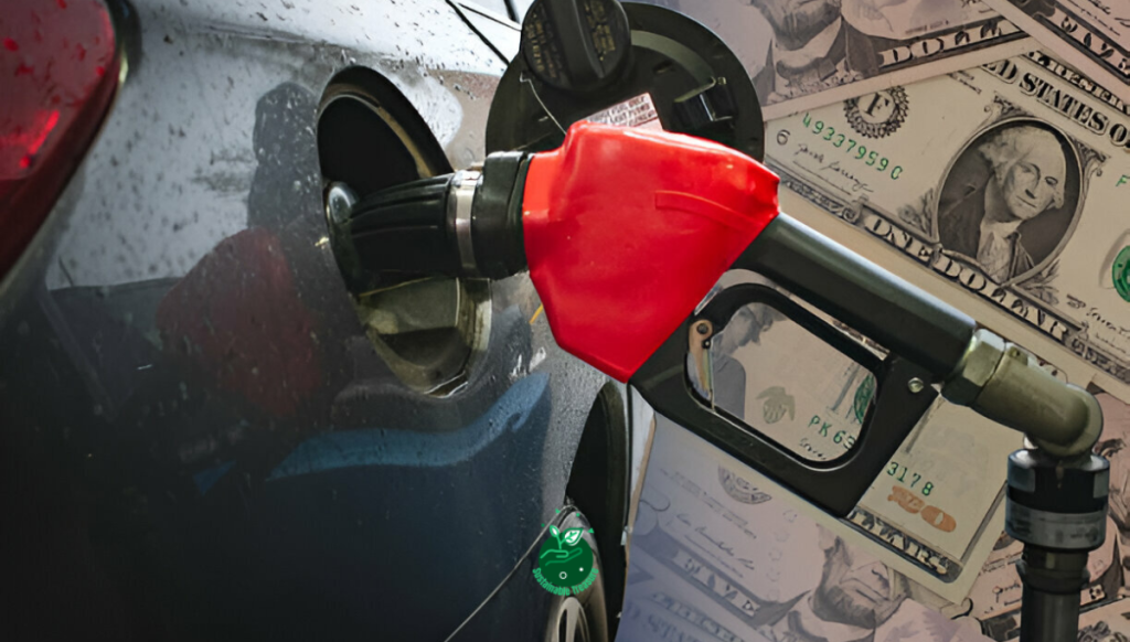 Biofuel Investments: Market Potential and Challenges