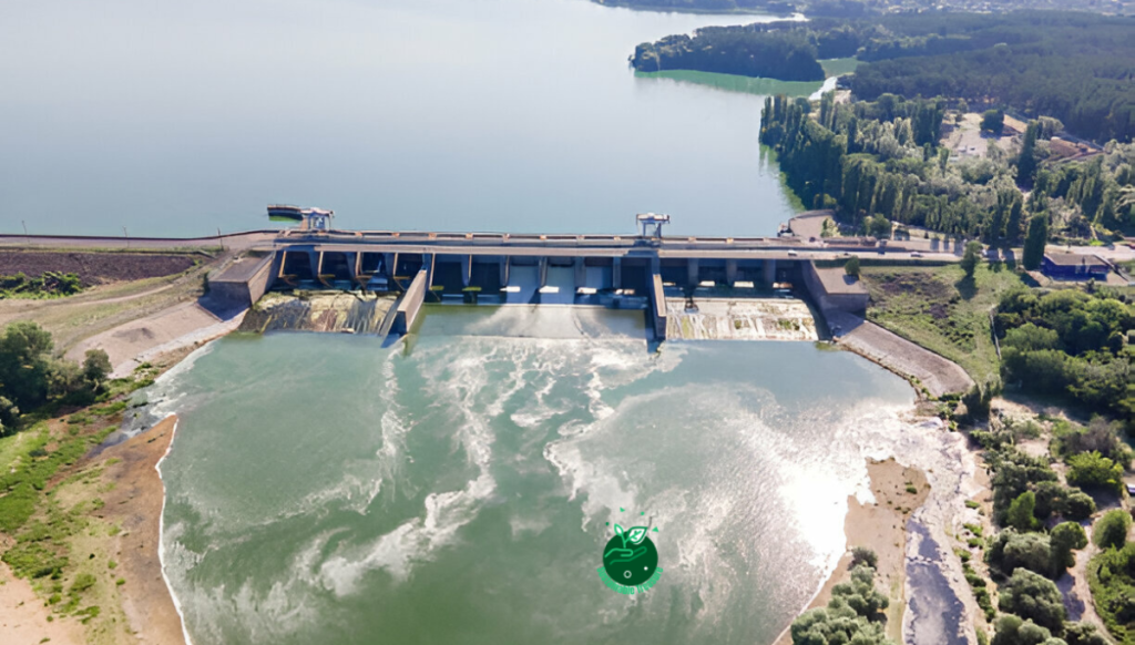 Government Incentives for Hydroelectric Power Investments